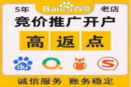 SEM广告投放策略案例分析